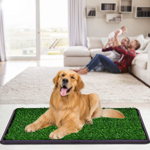 Dog fake clearance grass potty pad